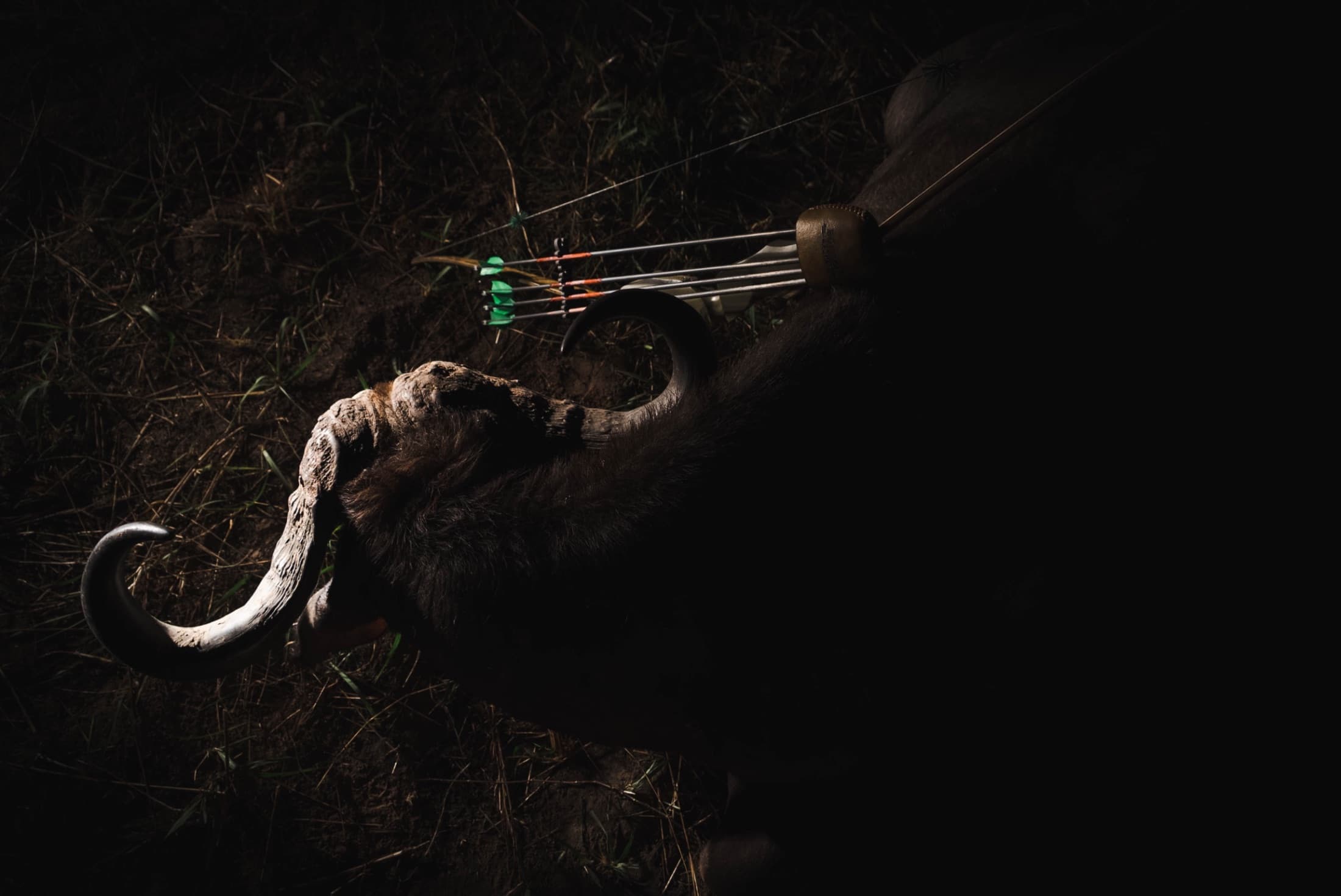 Bowhunters closing the distance on a fair-chase stalk