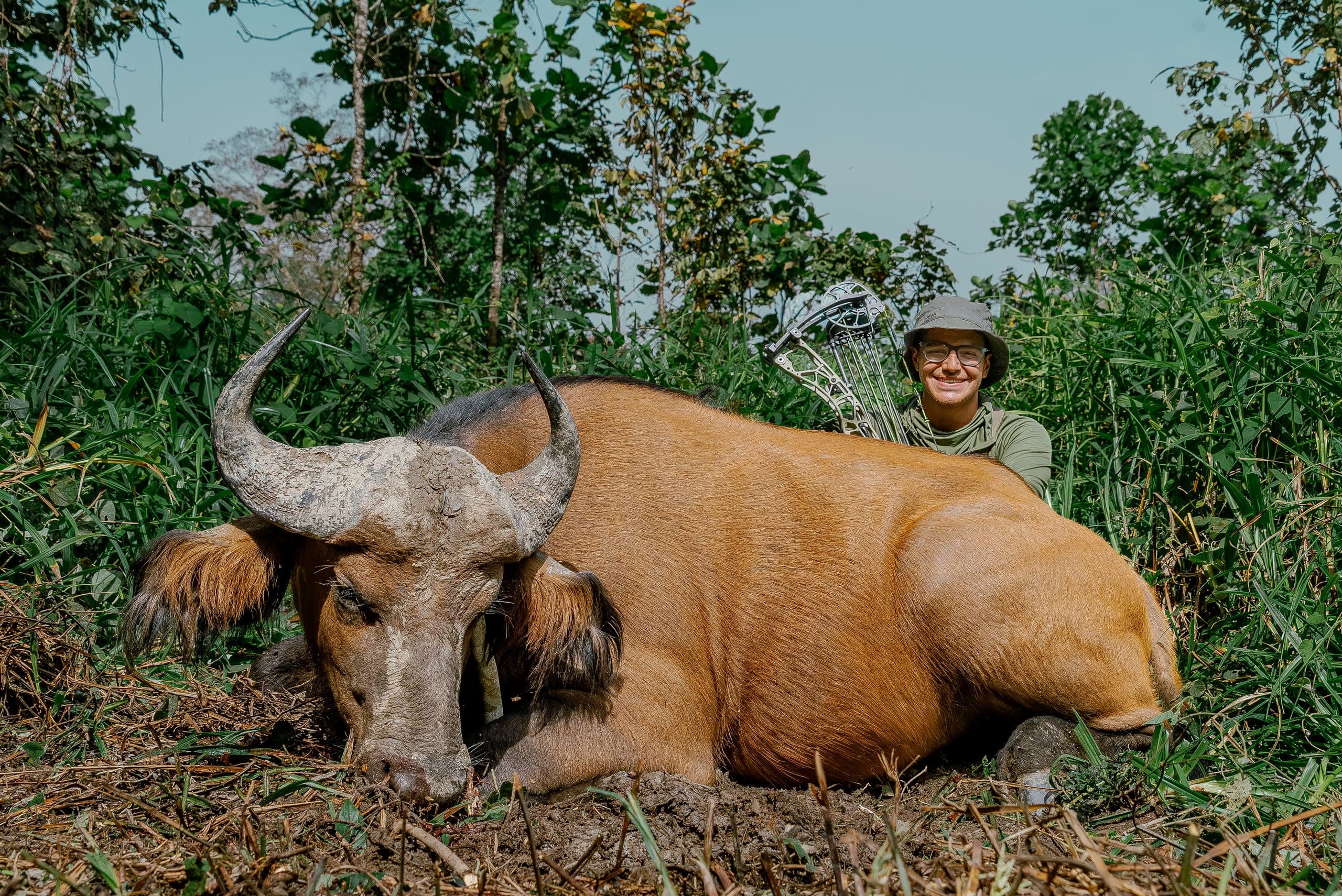 Bowhunting Cape Buffalo: What to Expect