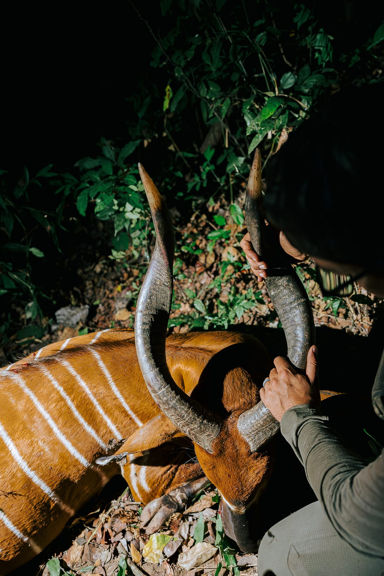 Bowhunting in Africa 11